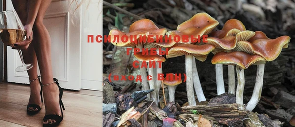 кокаин Каменка