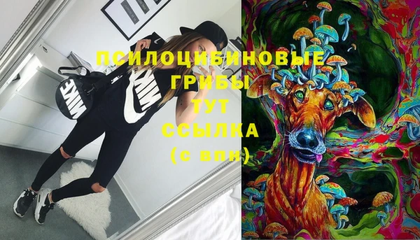 кокаин Каменка