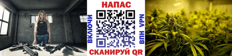 Бошки Шишки тримм  Купить закладки  Давлеканово 